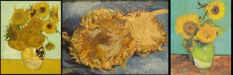 Stillleben mit 12 Sonnenblumen